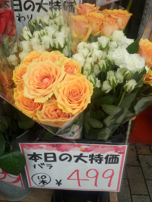 c0062511_142366.jpg