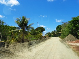 a0043520_17255976.jpg