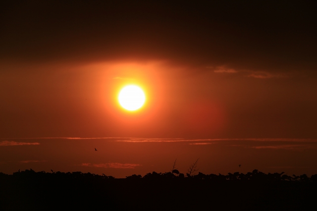 e0242721_11125027.jpg