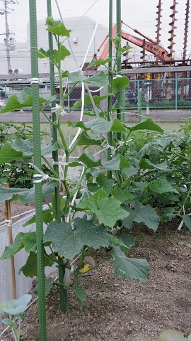 e0311225_91349.jpg