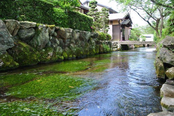 b0312230_00484955.jpg