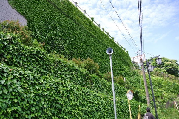 b0312230_01262533.jpg