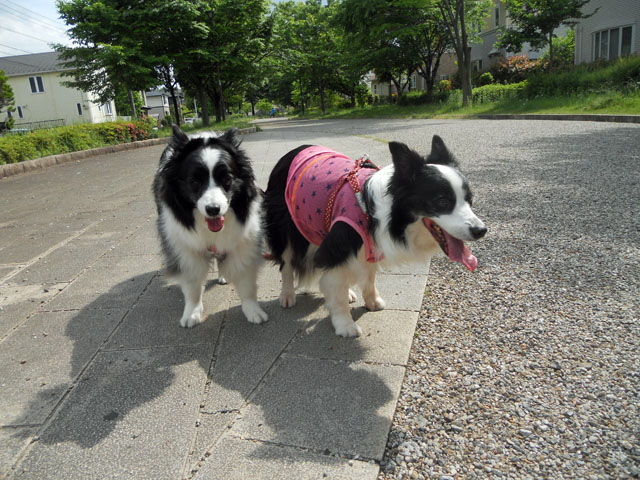 d0059230_8441366.jpg