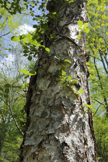 f0017530_20212899.jpg