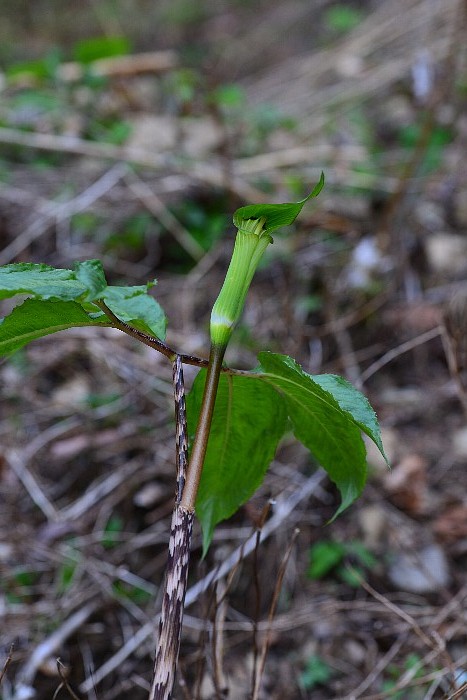 b0236334_21525556.jpg