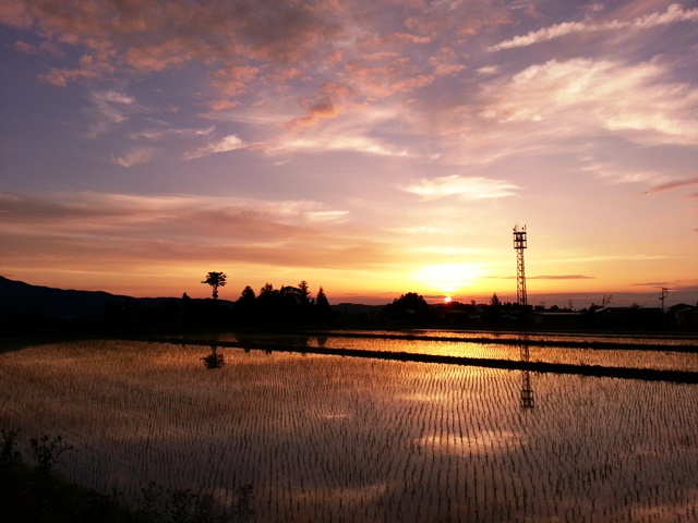 f0131535_00252610.jpg