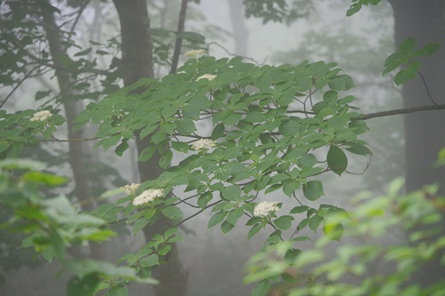 b0312736_14414536.jpg
