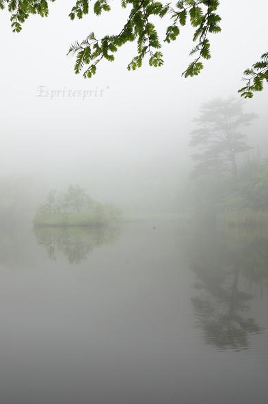 f0142141_9504663.jpg