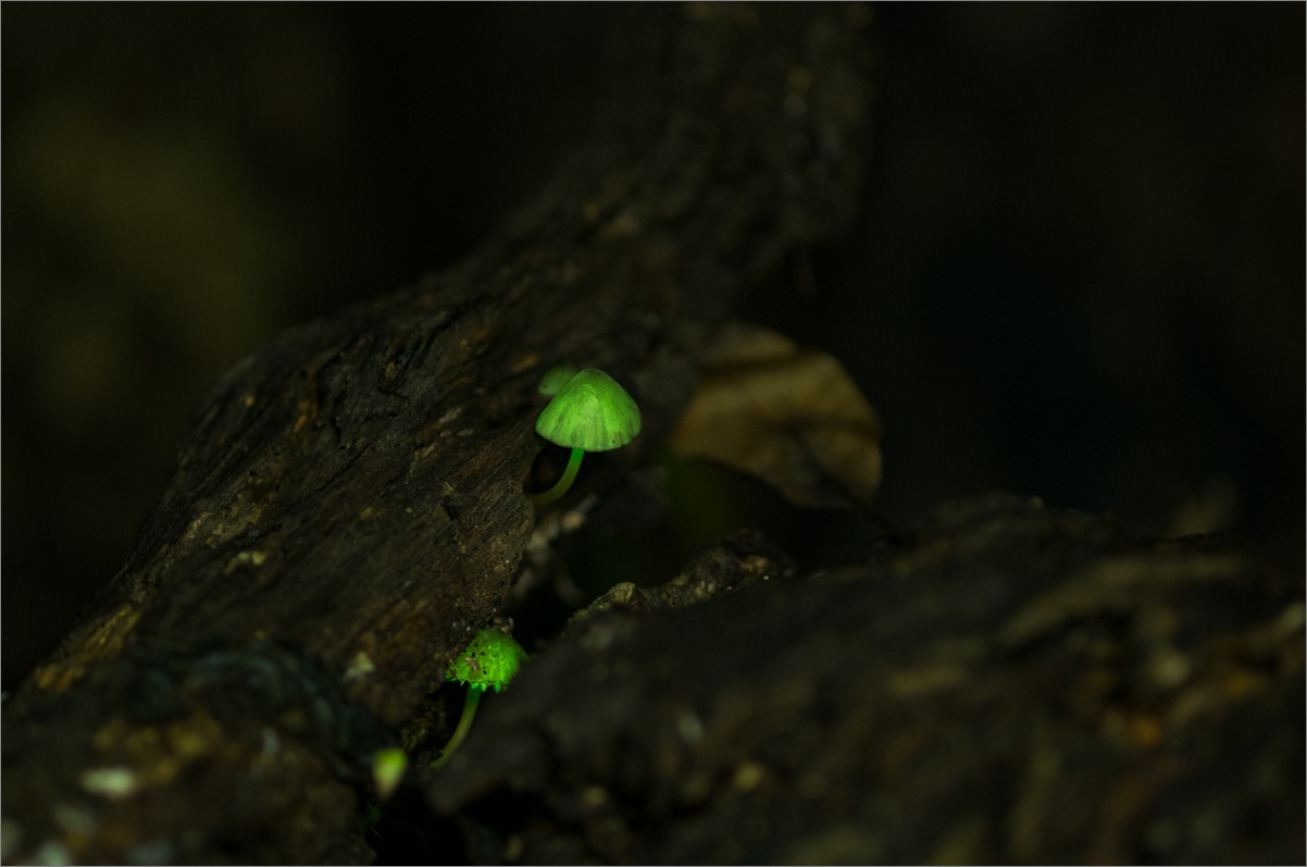 d0058445_16113967.jpg
