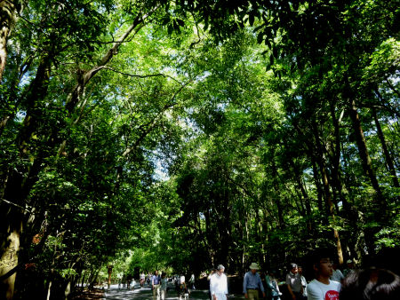 b0002549_14372863.jpg