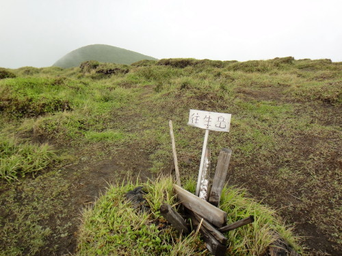 c0179351_18393648.jpg