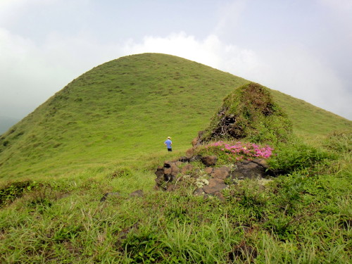 c0179351_18421261.jpg