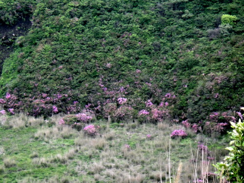 c0179351_18462190.jpg