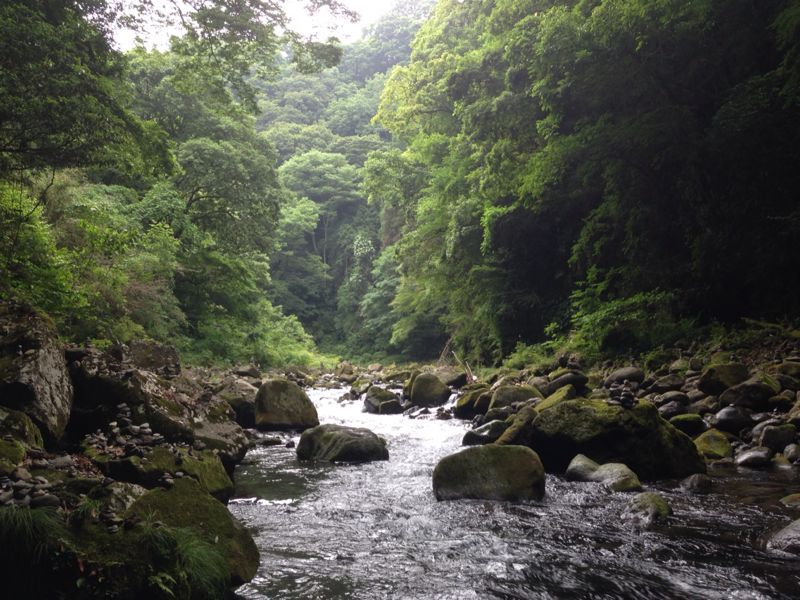 b0002156_14151561.jpg
