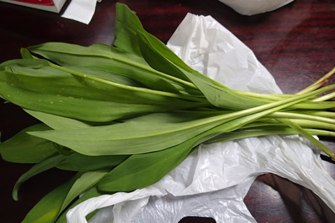 a0083760_7271056.jpg