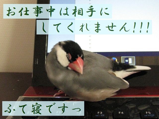 b0158061_2014553.jpg