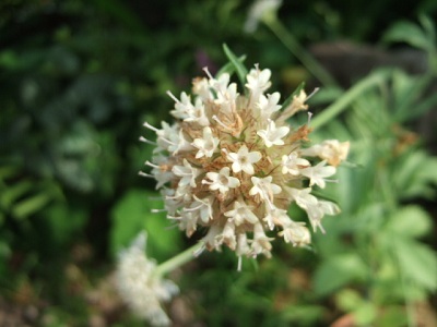 e0225164_77594.jpg