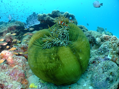 b0033573_16262243.jpg