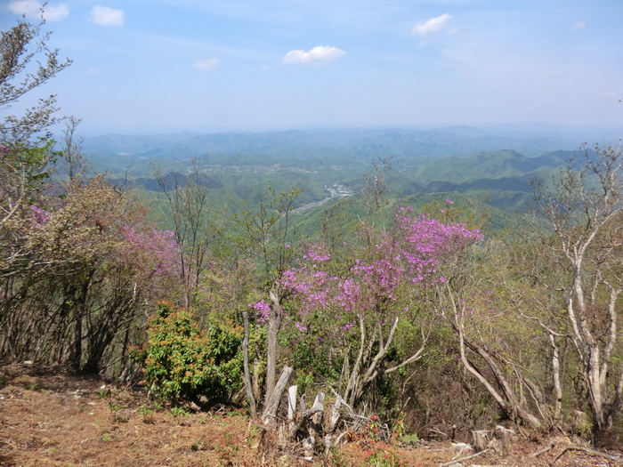 b0185573_20594028.jpg