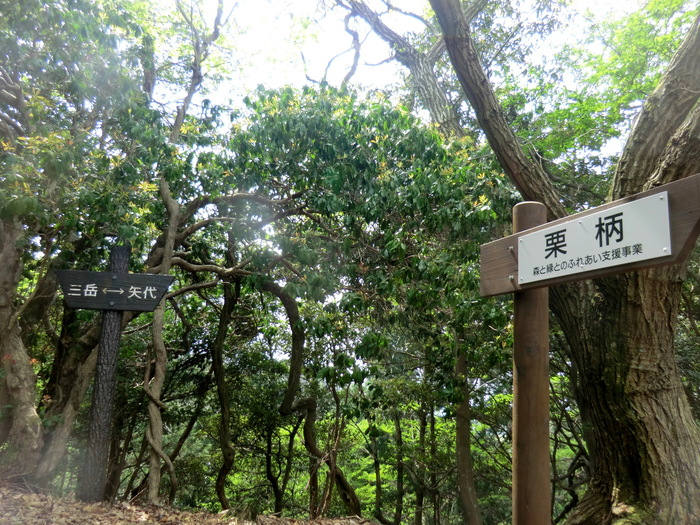 b0185573_6555867.jpg