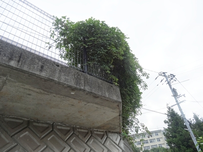 e0264374_12325010.jpg