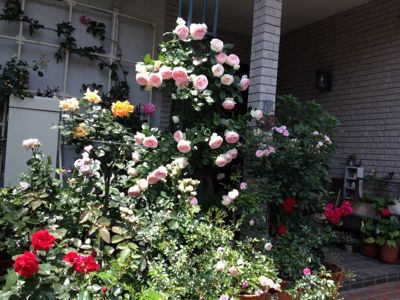 f0091282_19312244.jpg