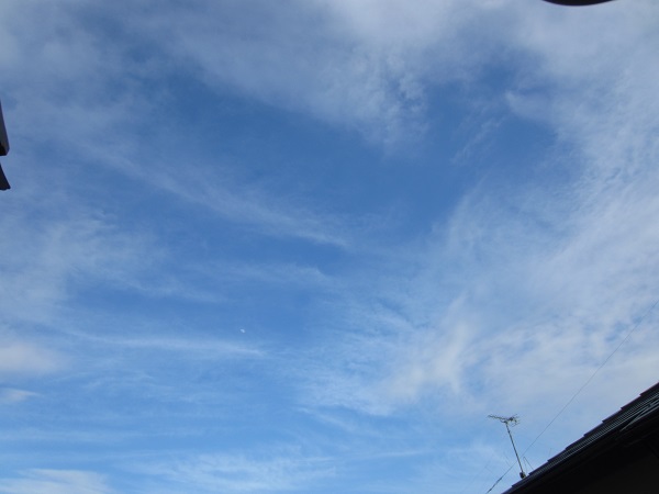 b0084186_00092242.jpg