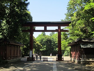 b0209691_16131170.jpg
