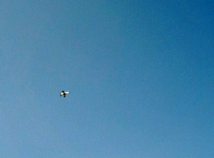 c0131695_23532678.jpg