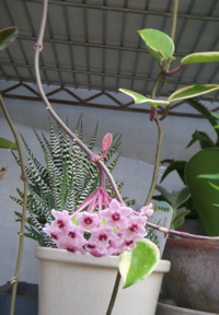 c0149195_2121403.jpg