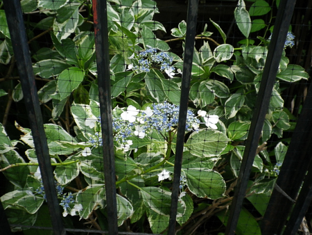 f0239100_22471887.jpg