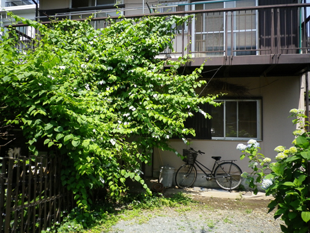 f0239100_22551967.jpg