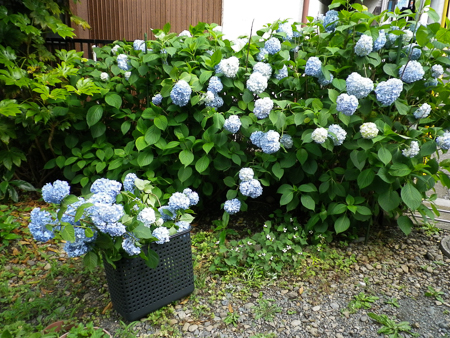 f0239100_22592147.jpg