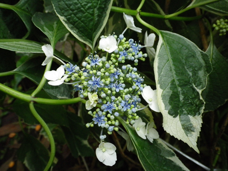 f0239100_2318372.jpg