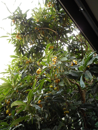 f0239100_23194727.jpg
