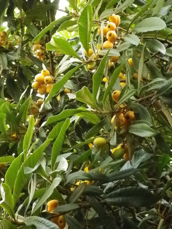 f0239100_23221439.jpg