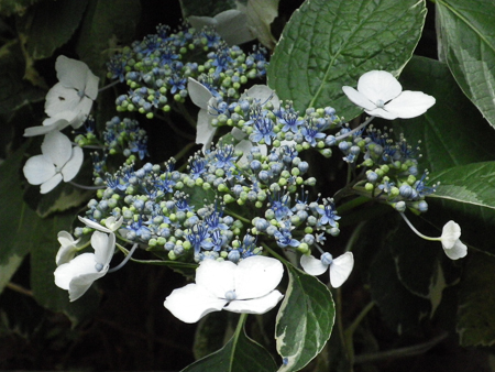 f0239100_2345160.jpg