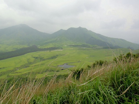 f0187402_18391559.jpg