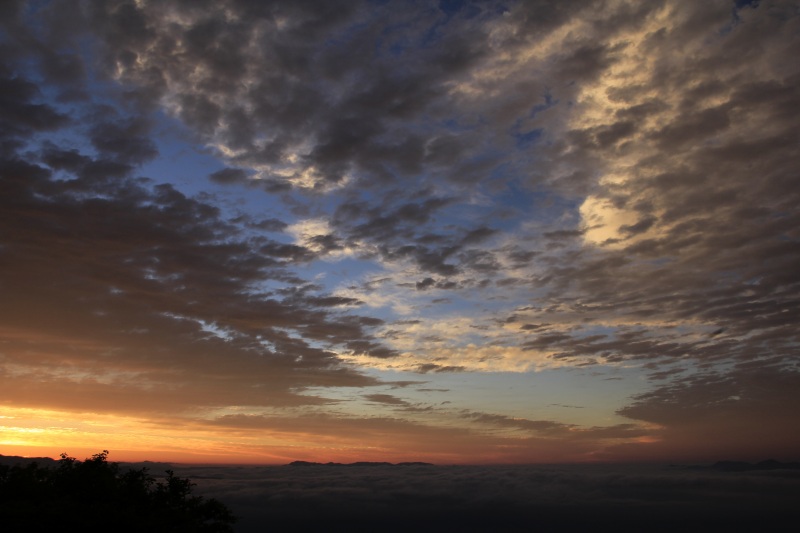 a0188405_20582657.jpg