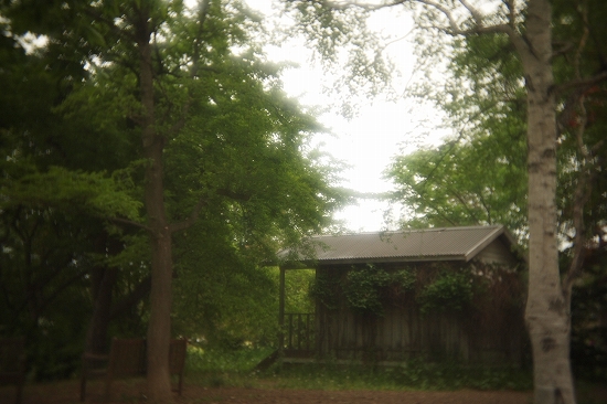 c0202705_16511437.jpg