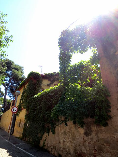 b0064411_00011838.jpg