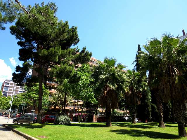 b0064411_00011840.jpg
