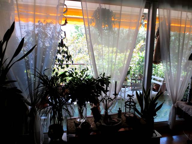 b0064411_00065380.jpg