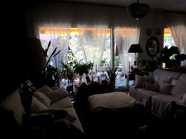 b0064411_00085054.jpg
