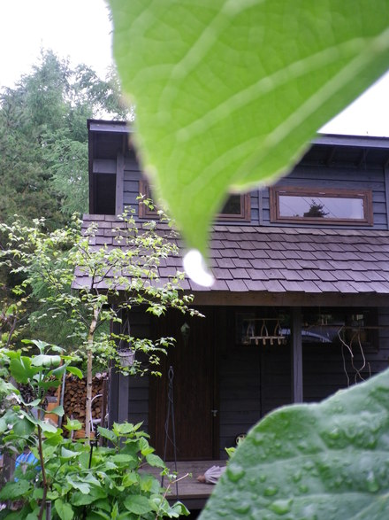 f0188324_20422633.jpg