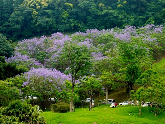 a0206332_813413.jpg
