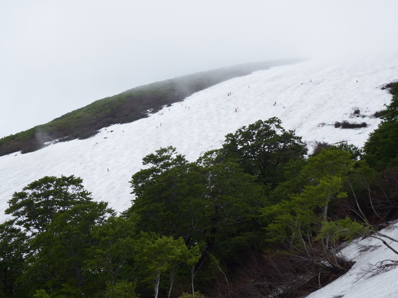 f0118332_92441100.jpg