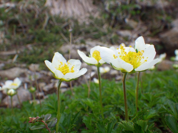 f0118332_9364326.jpg