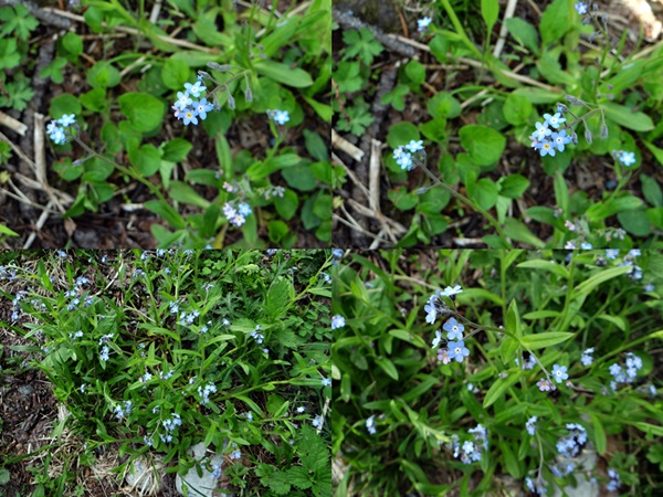 d0037233_10111851.jpg