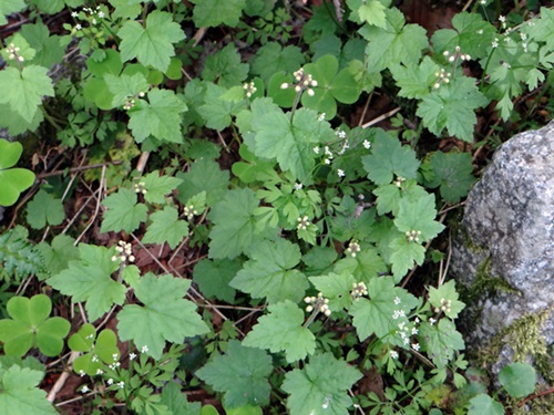 d0037233_10153939.jpg